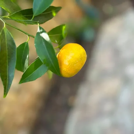 Feriehus Rez De Jardin Au Calme Dans Le Parc Des Calanques