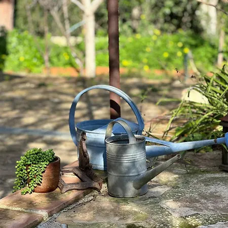 Feriehus Rez De Jardin Au Calme Dans Le Parc Des Calanques *