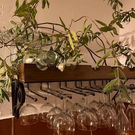 Rez De Jardin Au Calme Dans Le Parc Des Calanques Hébergement de vacances La Ciotat