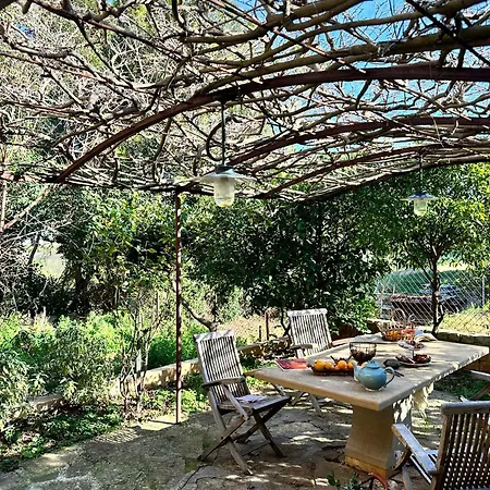 Rez De Jardin Au Calme Dans Le Parc Des Calanques * La Ciotat