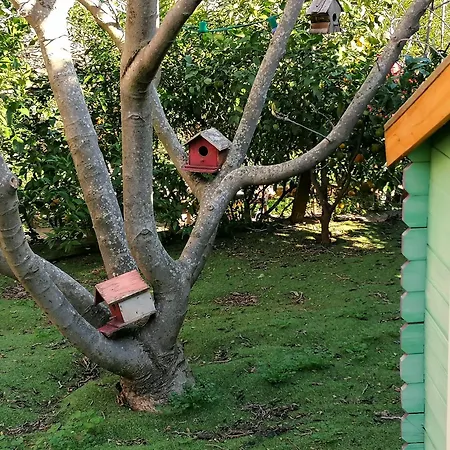 Hébergement de vacances Rez De Jardin Au Calme Dans Le Parc Des Calanques La Ciotat