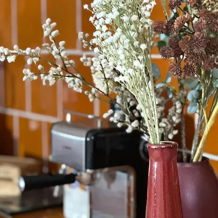 Rez De Jardin Au Calme Dans Le Parc Des Calanques Hébergement de vacances La Ciotat